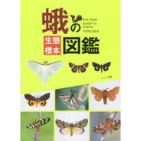 蛾の生態標本図鑑   /メイツ出版/今井初太郎